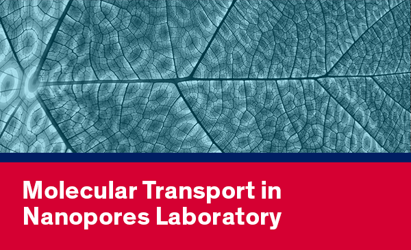 Molecular Transport Lab