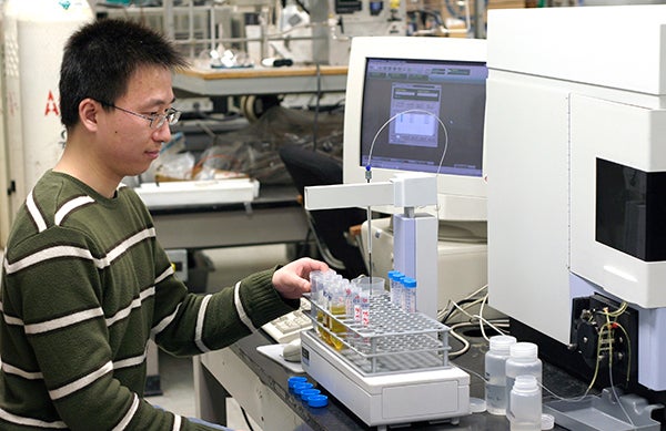 student working with chemicals at a computer workstation