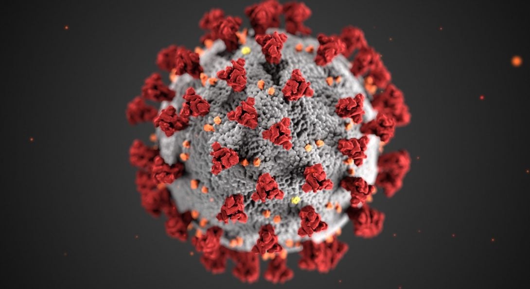 Corona virus image