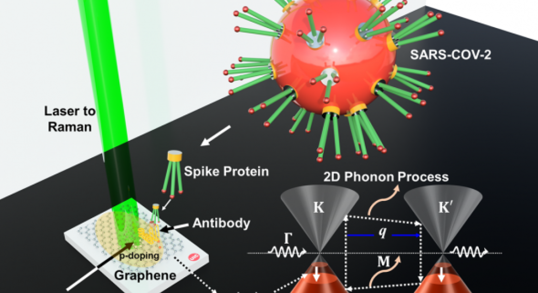 Diagram of graphene detecting COVID 19.