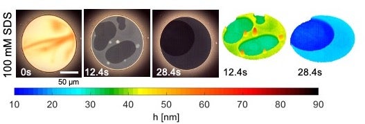 Micellar foam films