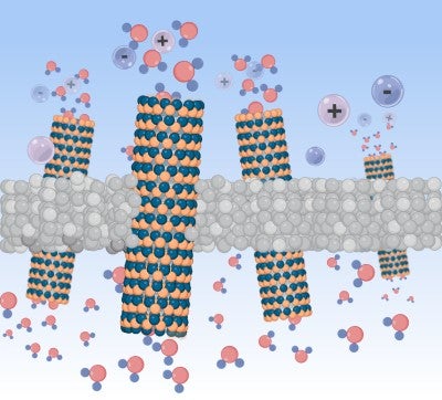 Schematic illustration of the ion-transport mechanism through the BNNT nanofluidic platform.